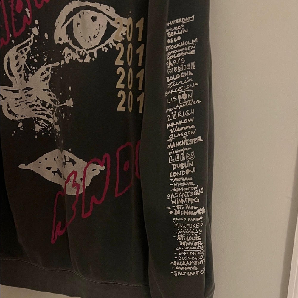 Shawn Mendes The Tour Hoodie - Picture 4 of 5